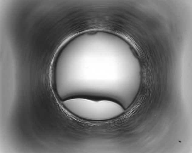 X0000098221151200804241128