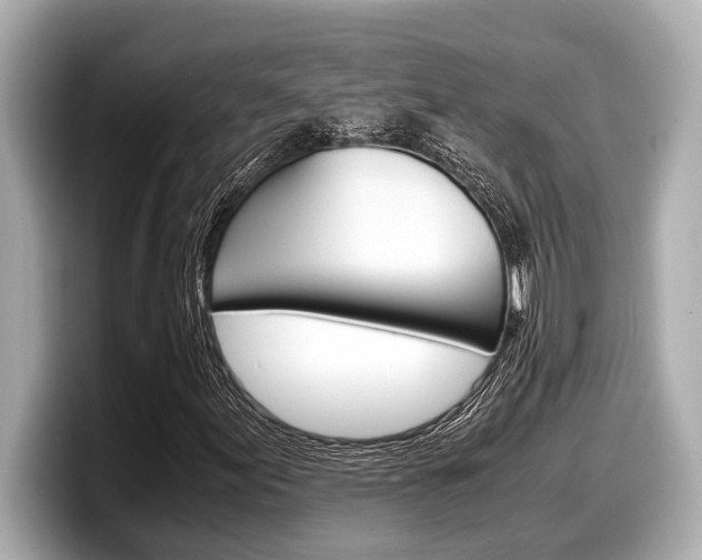X0000098221155200804241127
