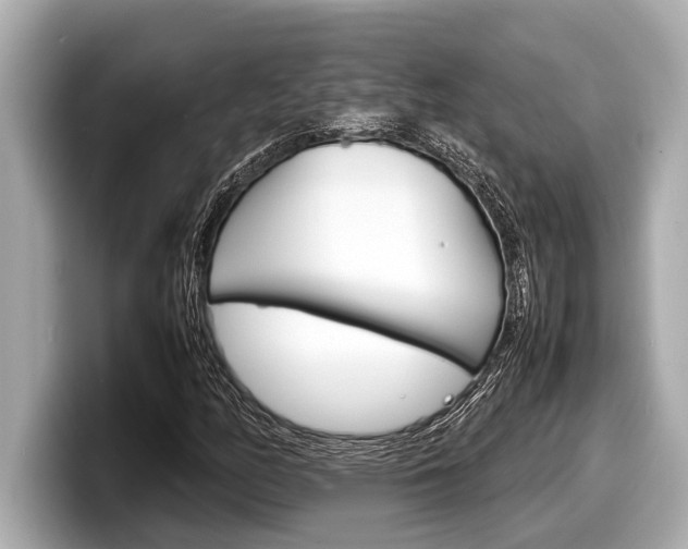 X0000098221158200804241127