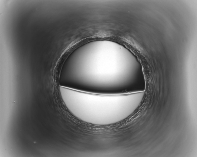 X0000098221160200804241127