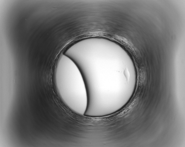 X0000098221162200804241127