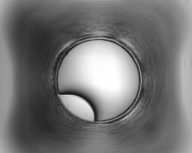 X0000098221163200804241127