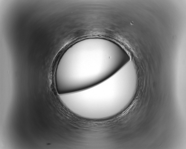 X0000098221165200804241127