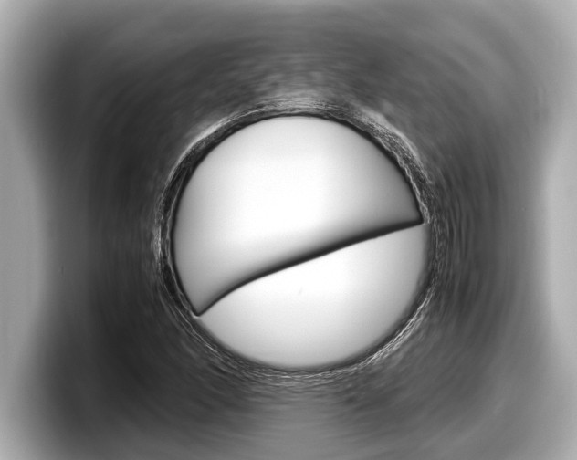 X0000098221166200804241127