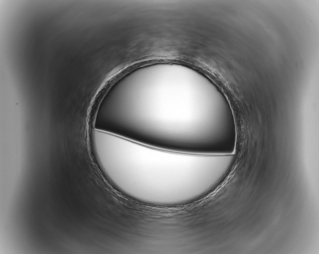X0000098221168200804241127