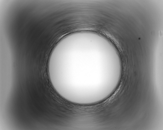 X0000098221169200804241127