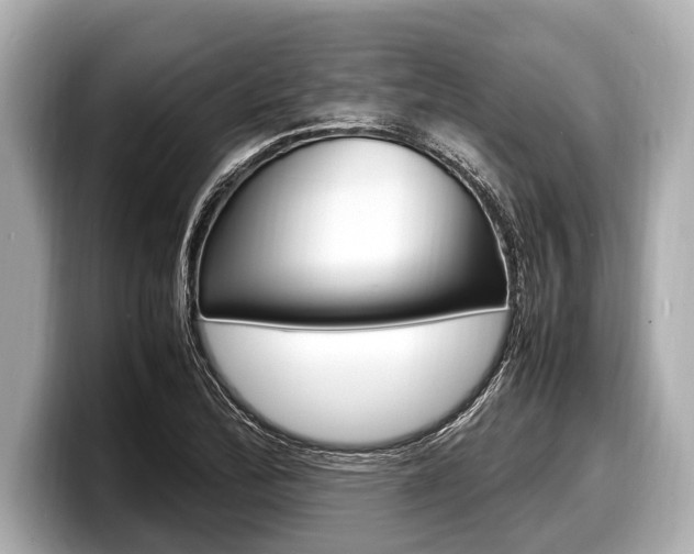 X0000098221172200804241127