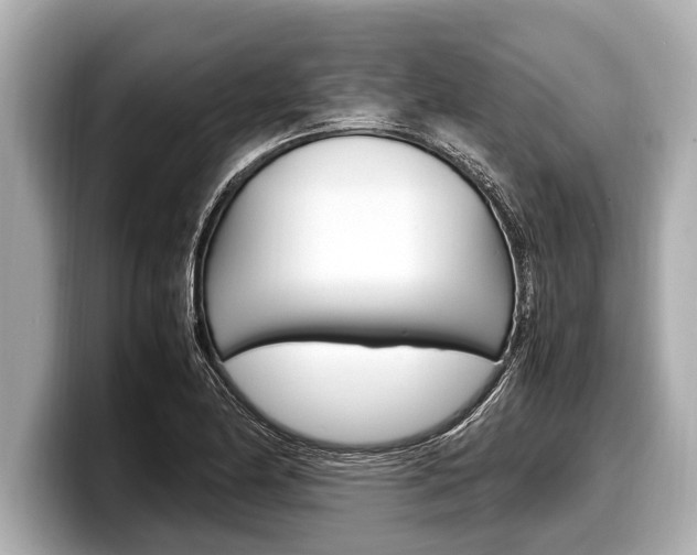X0000098221174200804241127