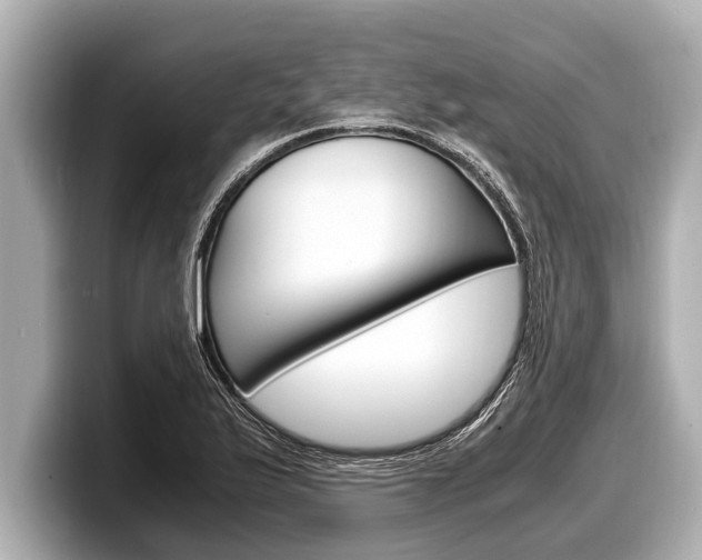 X0000098221175200804241127
