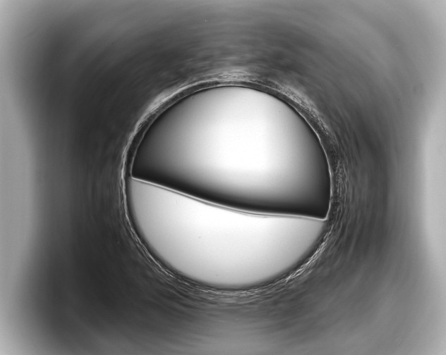 X0000098221176200804241127
