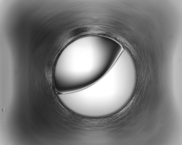 X0000098221177200804241127