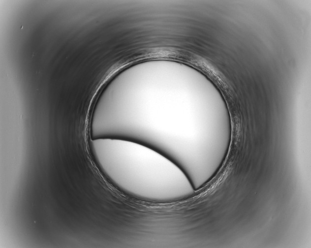 X0000098221178200804241127