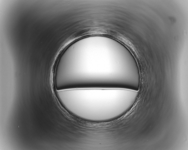 X0000098221179200804241127