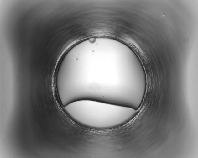 X0000098221182200804241127