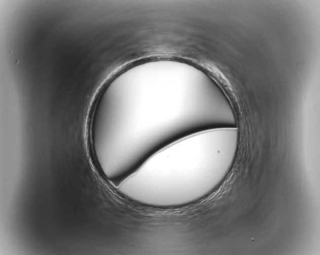X0000098221183200804241127