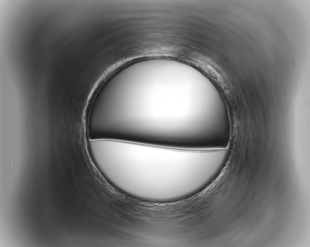 X0000098221184200804241127