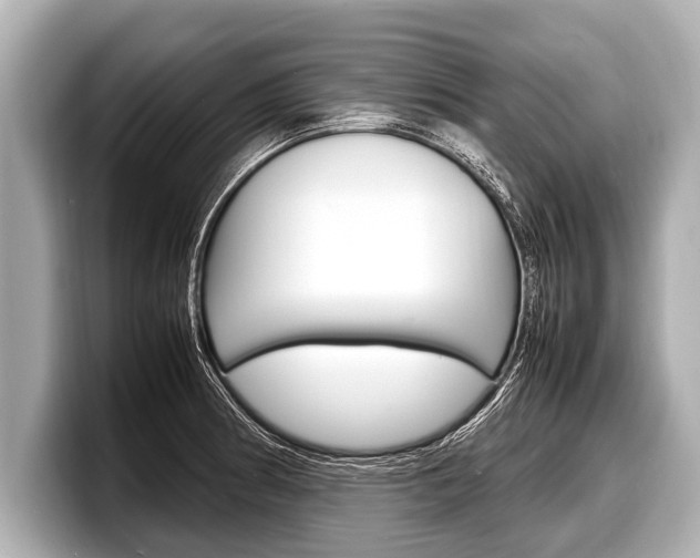 X0000098221186200804241127