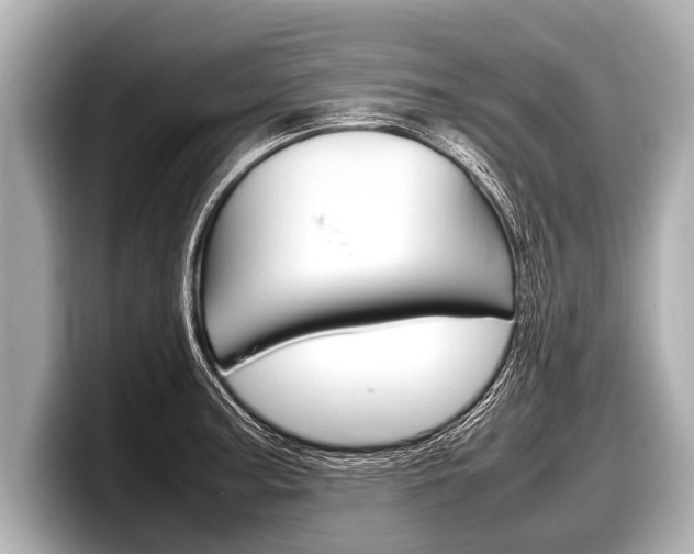 X0000098221187200804241127