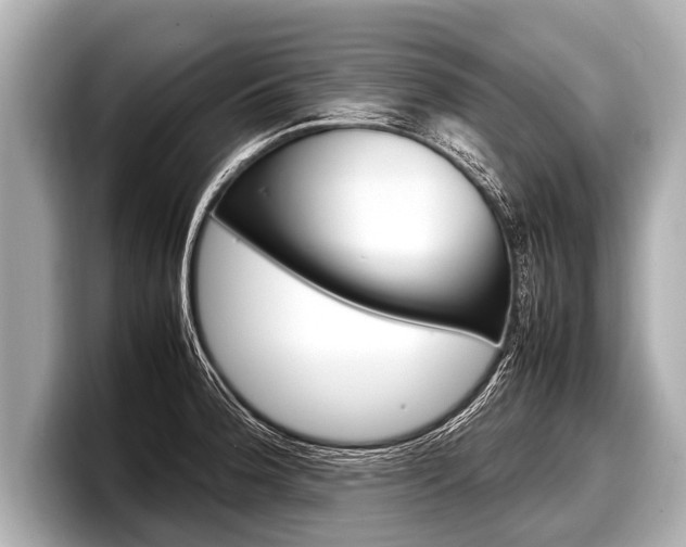 X0000098221188200804241127