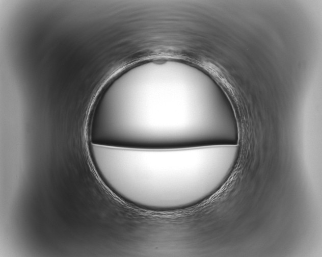 X0000098221189200804241127