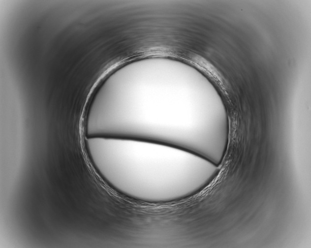 X0000098221190200804241127