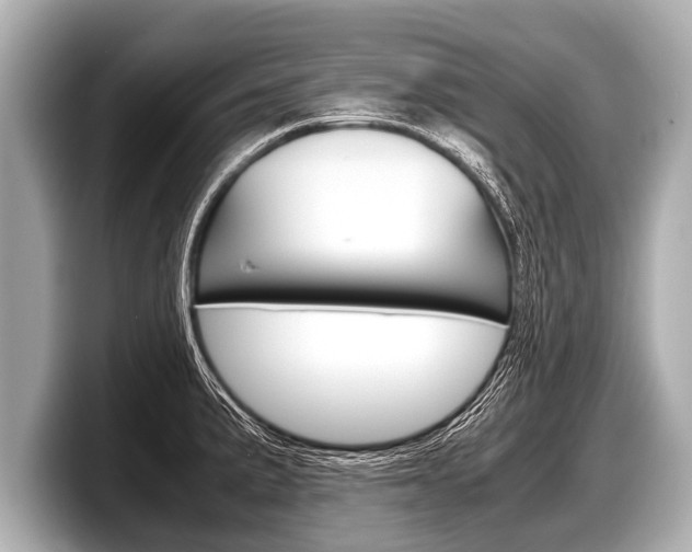 X0000098221191200804241127