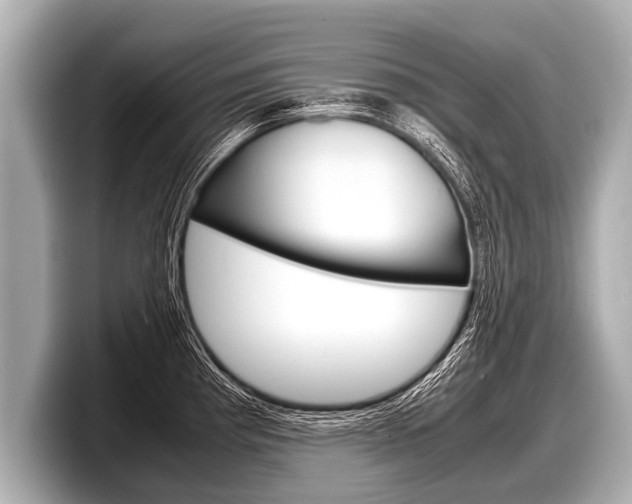 X0000098221193200804241127