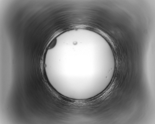 X0000098221194200804241127