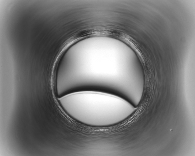 X0000098221195200804241127