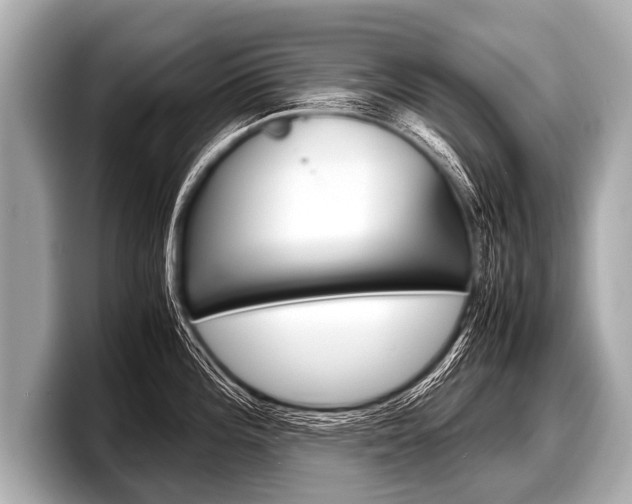X0000098221196200804241127