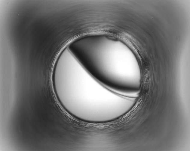 X0000098221197200804241127