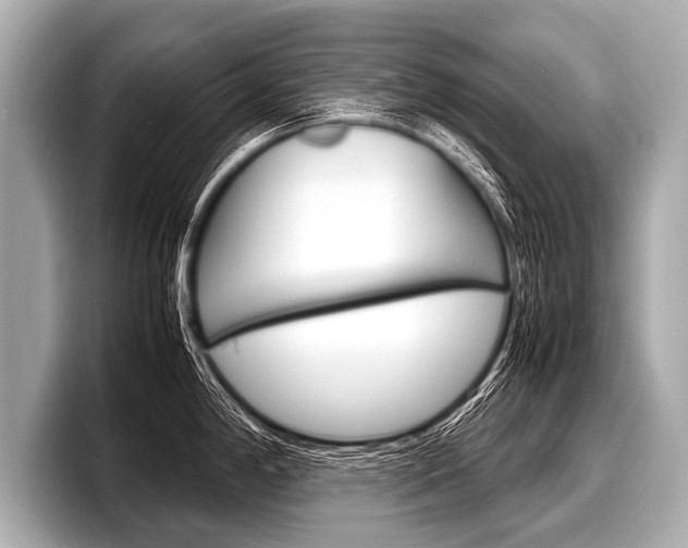 X0000098221198200804241127