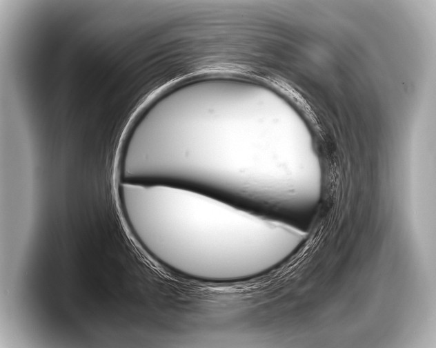 X0000098221199200804241127