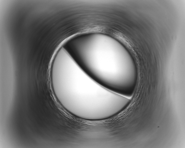 X0000098221200200804241127