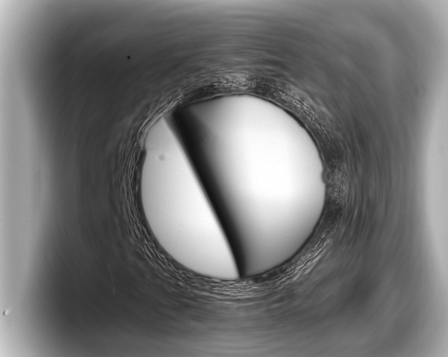 X0000098221201200804241126
