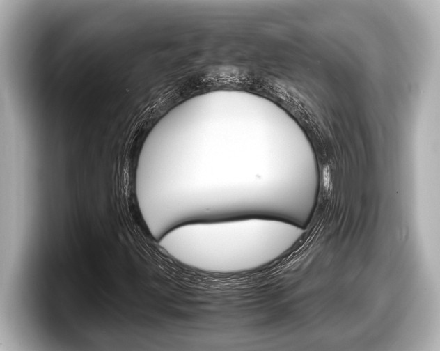 X0000098221203200804241126