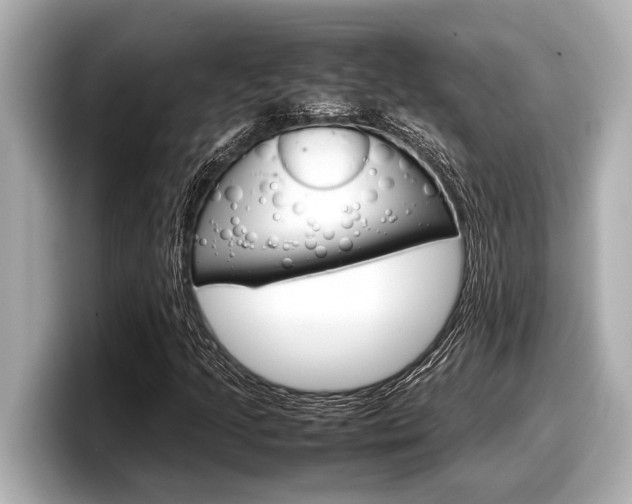 X0000098221205200804241126