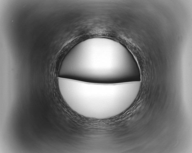X0000098221206200804241126