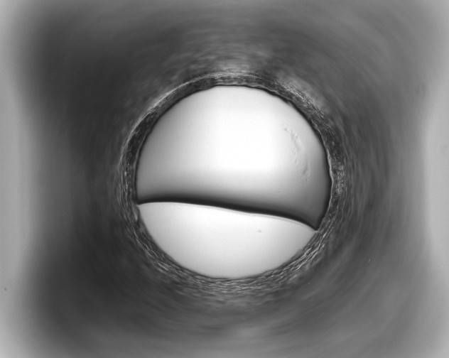 X0000098221208200804241126