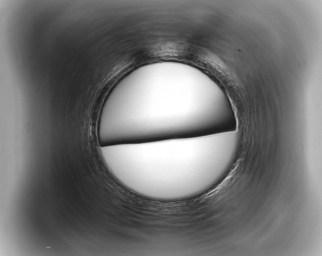 X0000098221209200804241126