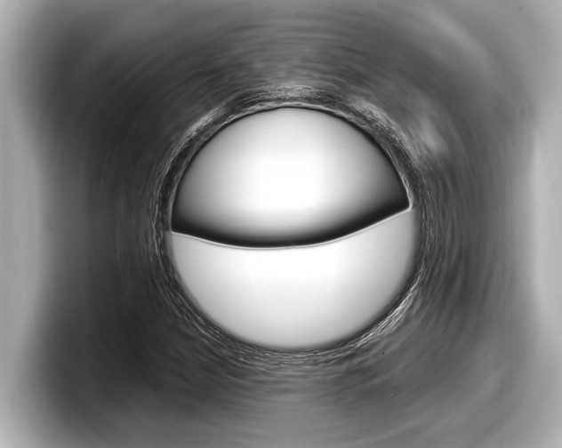 X0000098221210200804241126