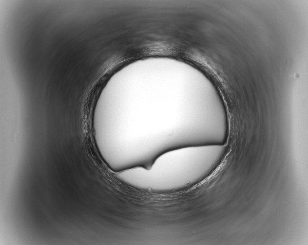 X0000098221211200804241126