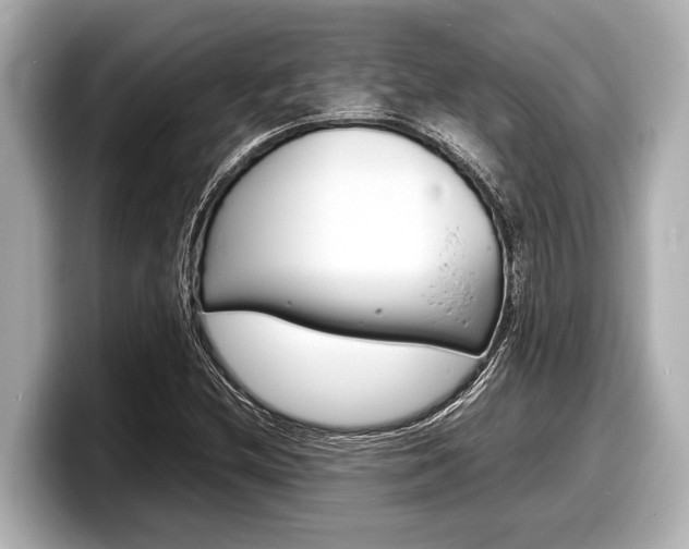 X0000098221212200804241126