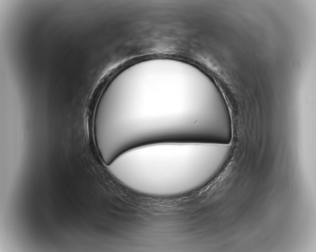 X0000098221214200804241126
