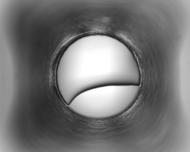 X0000098221215200804241126