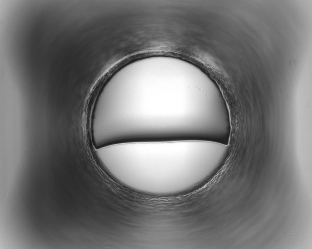 X0000098221216200804241126