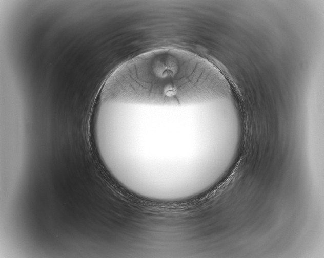 X0000098221218200804241126