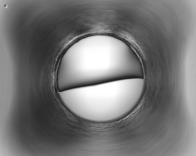 X0000098221220200804241126