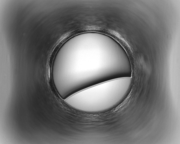 X0000098221221200804241126