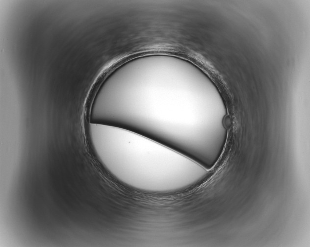 X0000098221222200804241126